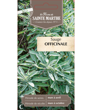 Sauge officinale bio - ferme sainte marthe de La Ferme de Sainte Marthe - Graines BIO dans Graines d'autres aromatiques