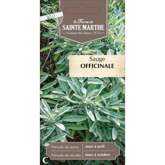 Sauge officinale bio - ferme sainte marthe de La Ferme de Sainte Marthe - Graines BIO dans Graines d'autres aromatiques
