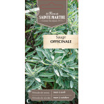 Sauge officinale bio - ferme sainte marthe de La Ferme de Sainte Marthe - Graines BIO dans Graines d'autres aromatiques