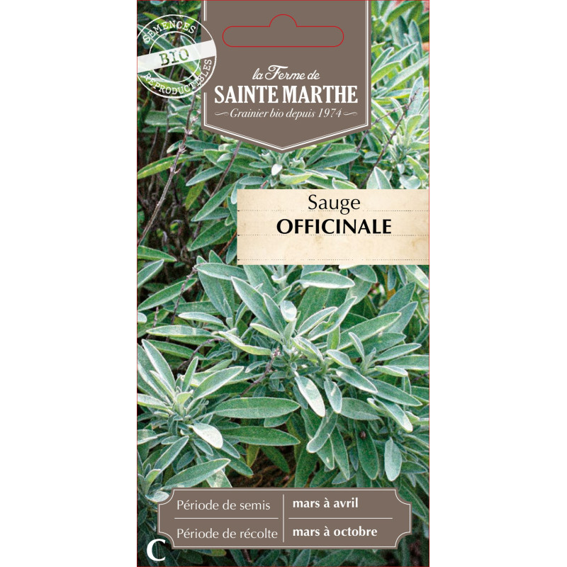 Sauge officinale bio - ferme sainte marthe de La Ferme de Sainte Marthe - Graines BIO dans Graines d'autres aromatiques