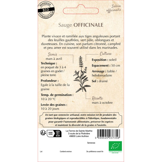 Sauge officinale bio - ferme sainte marthe de La Ferme de Sainte Marthe - Graines BIO dans Graines d'autres aromatiques