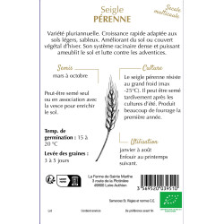 Seigle perenne bio - ferme sainte marthe de La Ferme de Sainte Marthe - Graines BIO dans Graines de Jachere fleurie