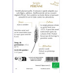 Seigle perenne bio - ferme sainte marthe de La Ferme de Sainte Marthe - Graines BIO dans Graines de Jachere fleurie