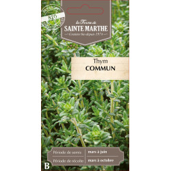 Thym commun bio - ferme sainte marthe de La Ferme de Sainte Marthe - Graines BIO dans Graines de Thym