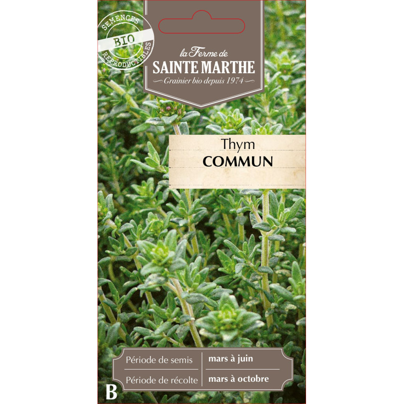Thym commun bio - ferme sainte marthe de La Ferme de Sainte Marthe - Graines BIO dans Graines de Thym