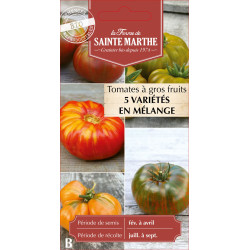 Tomate a gros fruit melange bio - sainte marthe de La Ferme de Sainte Marthe - Graines BIO dans Graines de Tomate