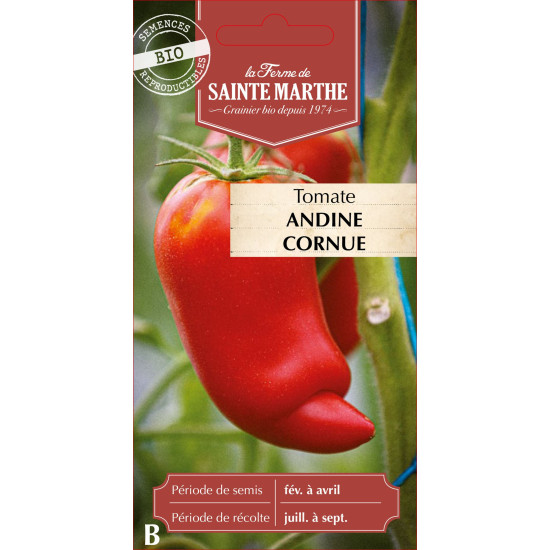 Tomate andine cornue des andes bio -sainte marth de La Ferme de Sainte Marthe - Graines BIO dans Graines de Tomate
