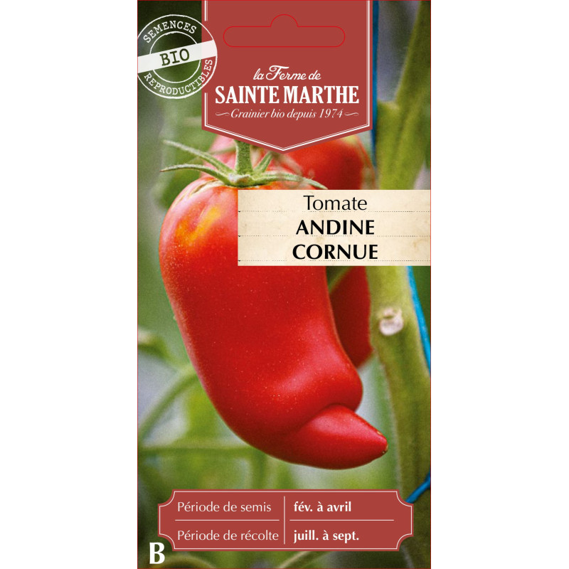 Tomate andine cornue des andes bio -sainte marth de La Ferme de Sainte Marthe - Graines BIO dans Graines de Tomate