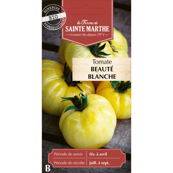 Tomate beaute blanche bio - ferme sainte marthe de La Ferme de Sainte Marthe - Graines BIO dans Graines de Tomate