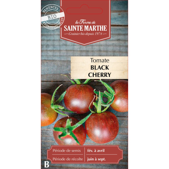 Tomate black cherry bio - ferme sainte marthe de La Ferme de Sainte Marthe - Graines BIO dans Graines de Tomate