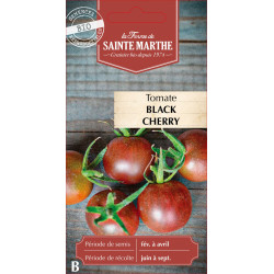 Tomate black cherry bio - ferme sainte marthe de La Ferme de Sainte Marthe - Graines BIO dans Graines de Tomate