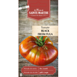 Tomate black from tula bio - ferme sainte marthe de La Ferme de Sainte Marthe - Graines BIO dans Graines de Tomate