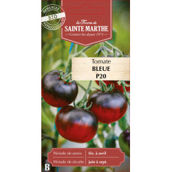 Tomate bleue p20 bio - ferme sainte marthe de La Ferme de Sainte Marthe - Graines BIO dans Graines de Tomate