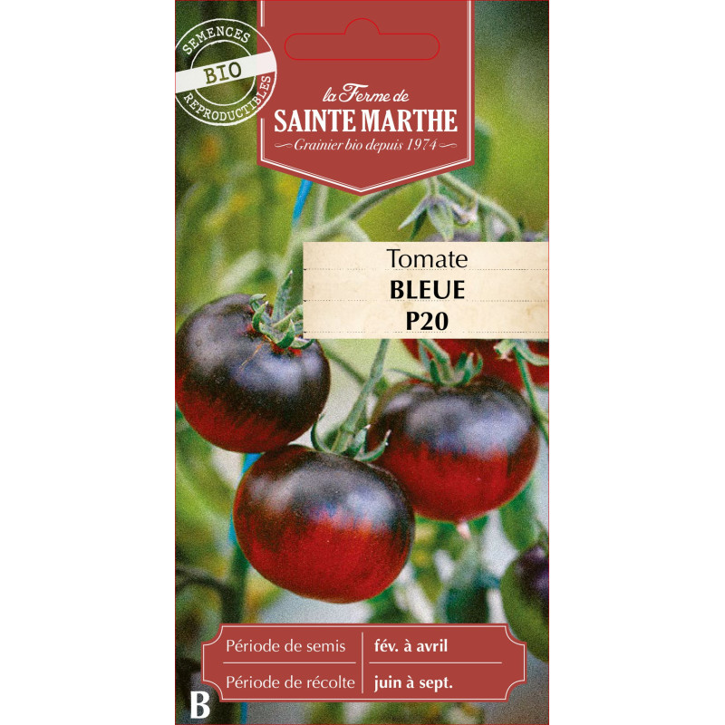 Tomate bleue p20 bio - ferme sainte marthe de La Ferme de Sainte Marthe - Graines BIO dans Graines de Tomate