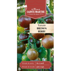 Tomate brown berry bio - ferme sainte marthe de La Ferme de Sainte Marthe - Graines BIO dans Graines de Tomate