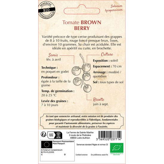Tomate brown berry bio - ferme sainte marthe de La Ferme de Sainte Marthe - Graines BIO dans Graines de Tomate