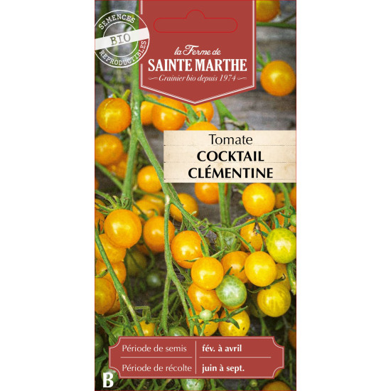 Tomate cocktail clementine bio - sainte marthe de La Ferme de Sainte Marthe - Graines BIO dans Graines de Tomate