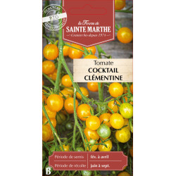 Tomate cocktail clementine bio - sainte marthe de La Ferme de Sainte Marthe - Graines BIO dans Graines de Tomate