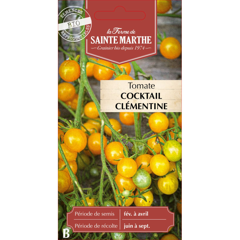 Tomate cocktail clementine bio - sainte marthe de La Ferme de Sainte Marthe - Graines BIO dans Graines de Tomate