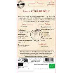 Tomate cuor di bue bio - ferme sainte marthe de La Ferme de Sainte Marthe - Graines BIO dans Graines de Tomate