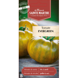 Tomate evergreen bio - ferme sainte marthe de La Ferme de Sainte Marthe - Graines BIO dans Graines de Tomate