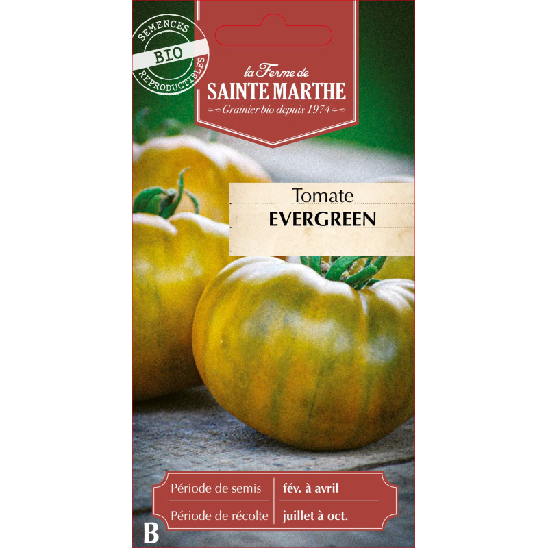 Tomate evergreen bio - ferme sainte marthe de La Ferme de Sainte Marthe - Graines BIO dans Graines de Tomate