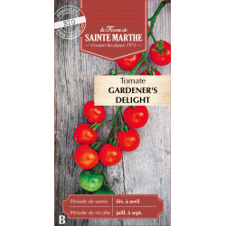 Tomate gardener's delight bio - sainte marthe de La Ferme de Sainte Marthe - Graines BIO dans Graines de Tomate
