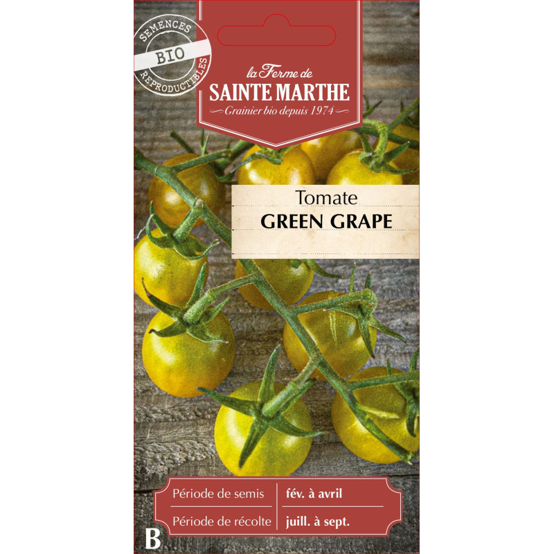 Tomate green grape bio - ferme sainte marthe de La Ferme de Sainte Marthe - Graines BIO dans Graines de Tomate