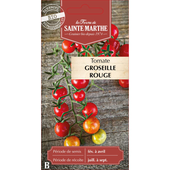 Tomate groseille rouge bio - ferme sainte marthe de La Ferme de Sainte Marthe - Graines BIO dans Graines de Tomate