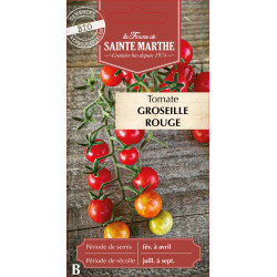Tomate groseille rouge bio - ferme sainte marthe de La Ferme de Sainte Marthe - Graines BIO dans Graines de Tomate