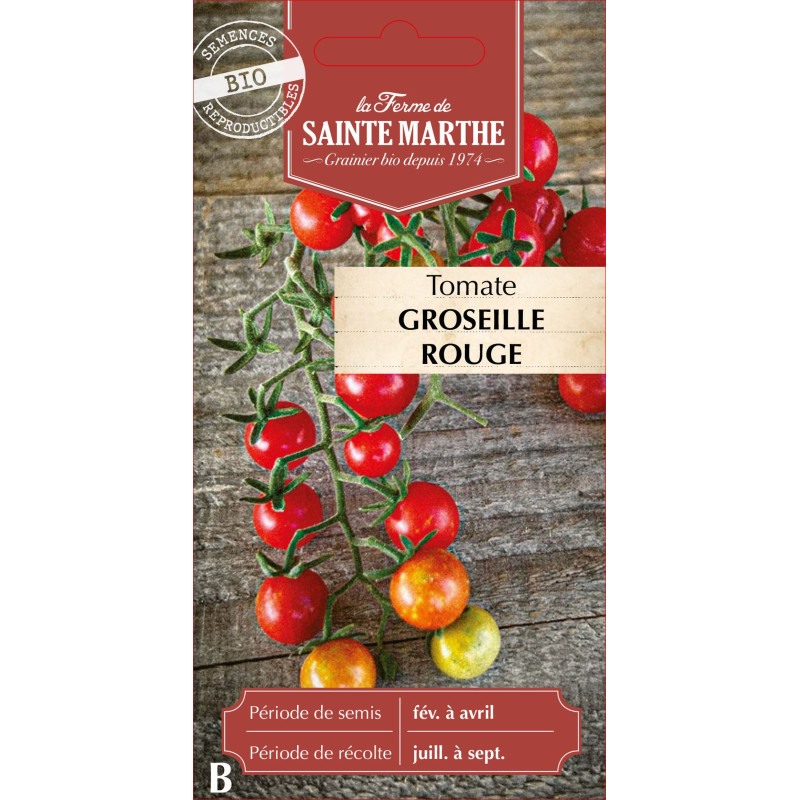 Tomate groseille rouge bio - ferme sainte marthe de La Ferme de Sainte Marthe - Graines BIO dans Graines de Tomate