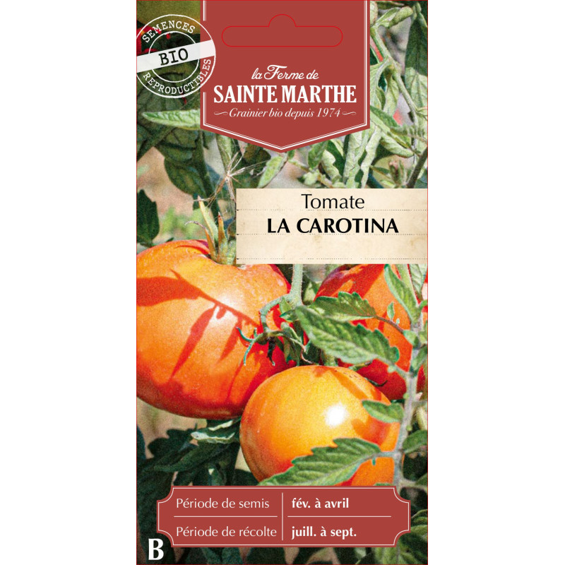 Tomate la carotina bio - ferme sainte marthe de La Ferme de Sainte Marthe - Graines BIO dans Graines de Tomate