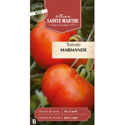 Tomate marmande bio - ferme sainte marthe de La Ferme de Sainte Marthe - Graines BIO dans Graines de Tomate