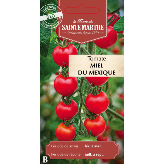Tomate miel du mexique bio - ferme sainte marthe de La Ferme de Sainte Marthe - Graines BIO dans Graines de Tomate
