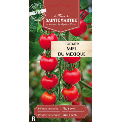 Tomate miel du mexique bio - ferme sainte marthe de La Ferme de Sainte Marthe - Graines BIO dans Graines de Tomate