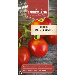 Tomate moneymaker bio - ferme sainte marthe de La Ferme de Sainte Marthe - Graines BIO dans Graines de Tomate