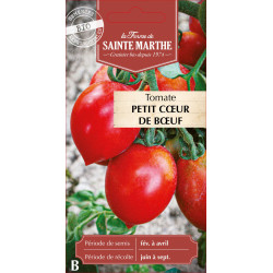 Tomate petit coeur de boeuf bio - sainte marthe de La Ferme de Sainte Marthe - Graines BIO dans Graines de Tomate