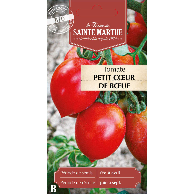 Tomate petit coeur de boeuf bio - sainte marthe de La Ferme de Sainte Marthe - Graines BIO dans Graines de Tomate