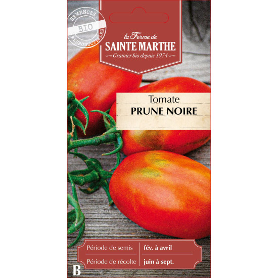 Tomate prune noire bio - ferme sainte marthe de La Ferme de Sainte Marthe - Graines BIO dans Graines de Tomate