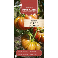 Tomate purple calabash bio - ferme sainte marthe de La Ferme de Sainte Marthe - Graines BIO dans Graines de Tomate