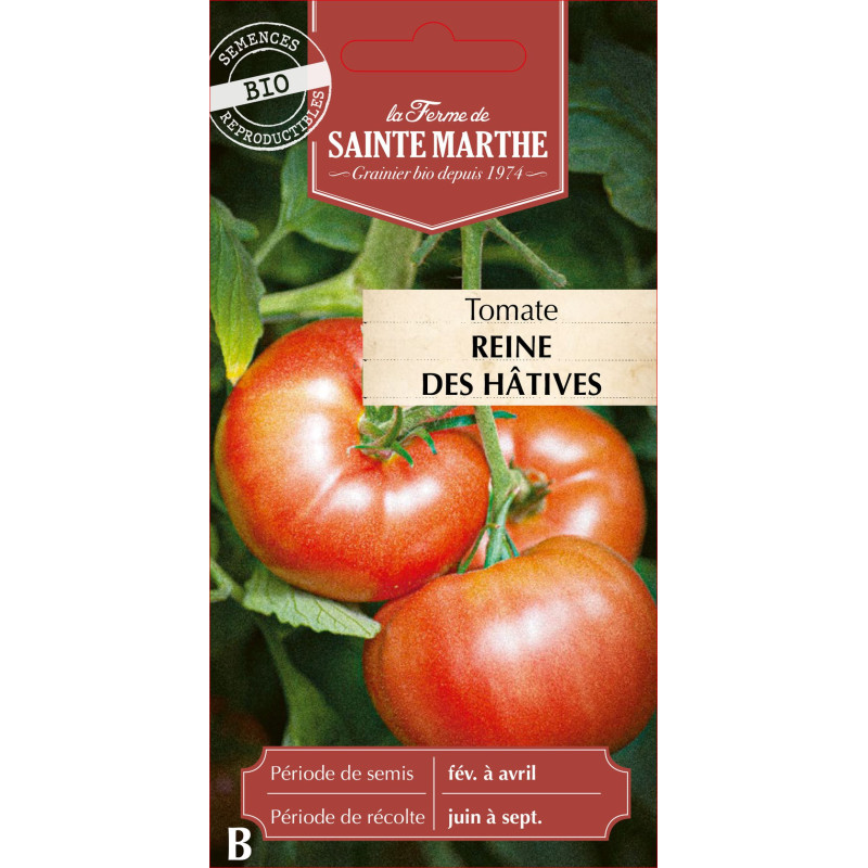 Tomate reine des hatives bio -ferme sainte marth de La Ferme de Sainte Marthe - Graines BIO dans Graines de Tomate