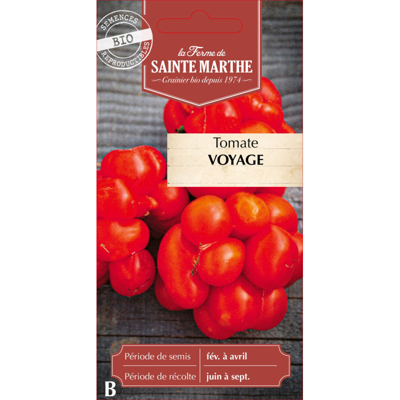 Tomate voyage bio - ferme sainte marthe de La Ferme de Sainte Marthe - Graines BIO dans Graines de Tomate