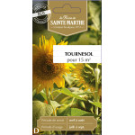 Tournesol bio - ferme sainte marthe de La Ferme de Sainte Marthe - Graines BIO dans Graines de légumes du potager