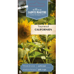 Tournesol californien bio - ferme sainte marthe de La Ferme de Sainte Marthe - Graines BIO dans Graines de fleurs en T