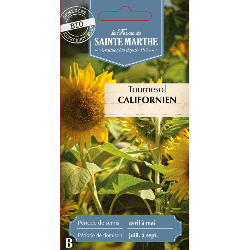 Tournesol californien bio - ferme sainte marthe de La Ferme de Sainte Marthe - Graines BIO dans Graines de fleurs en T