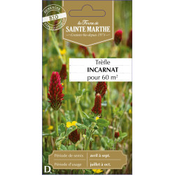 Trefle incarnat carmina bio -ferme sainte marthe de La Ferme de Sainte Marthe - Graines BIO dans Graines de Jachere fleurie