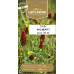 Trefle incarnat carmina bio -ferme sainte marthe de La Ferme de Sainte Marthe - Graines BIO dans Graines de Jachere fleurie