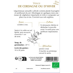 Vesce de cerdagne ou d´hiver bio - sainte marthe de La Ferme de Sainte Marthe - Graines BIO dans Graines de Jachere fleurie