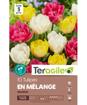Tulipes doubles en mélange calibre 12/+ x10 de Teragile - produits pour le jardin dans Tulipe en bulbes