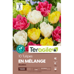 Tulipes doubles en mélange calibre 12/+ x10 de Teragile - produits pour le jardin dans Tulipe en bulbes